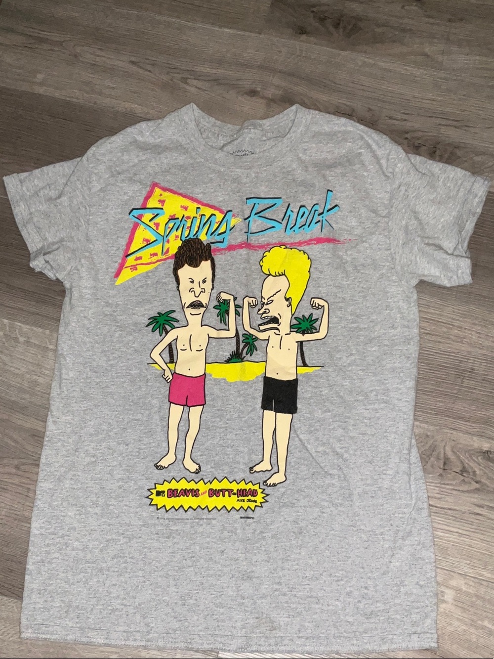 Beavis and Butt-Head Spring Break Graphic Tee - Gray